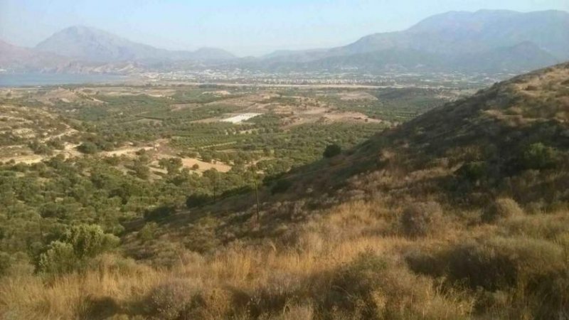 Kamilari Süd Kreta; Kamilari Grundstück mit Meerblick 10.000m² Grundstück kaufen